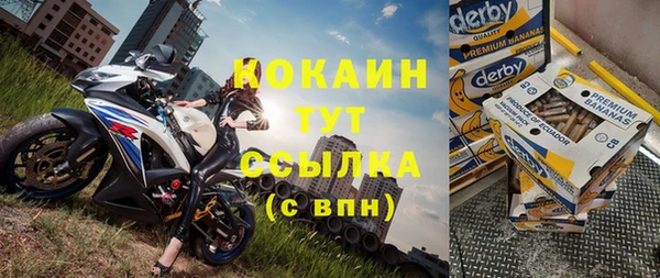 стаф Богородск