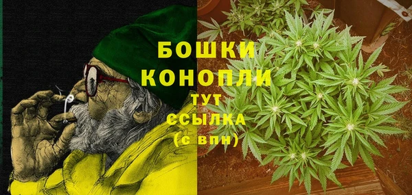 стаф Богородск