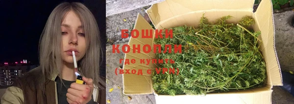стаф Богородск