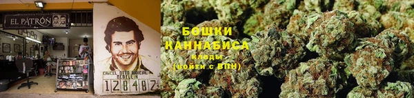 стаф Богородск